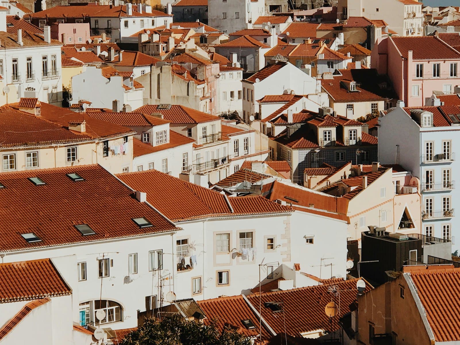 Best Neighborhoods in Lisbon for Digital Nomads